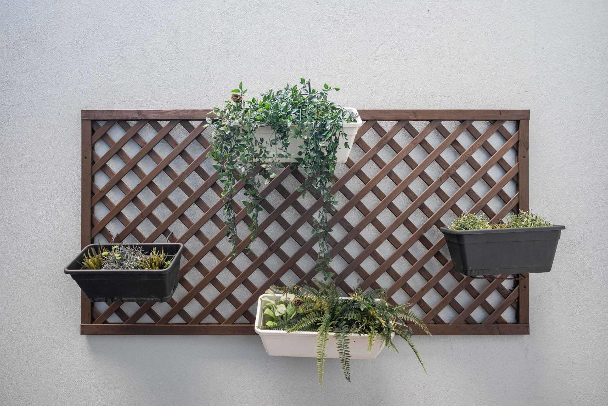 Apartment Liiiving In - Delight Terrace Porto